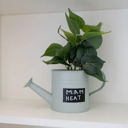 Mam Heat - Studio 1 * Viana do Castelo
